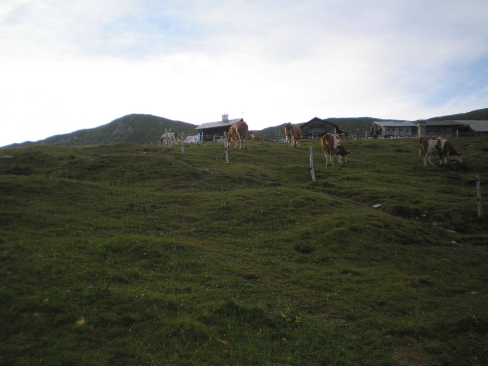 20120706 Košuta Kofce - foto povečava