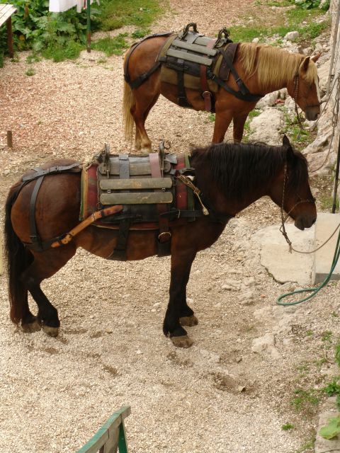 20120709 Sedmera jezera-OŠ Bogojina - foto