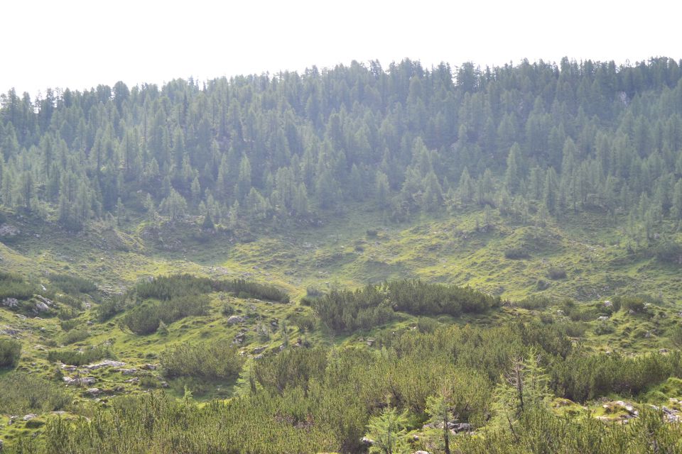 20120709 Sedmera jezera-OŠ Bogojina - foto povečava