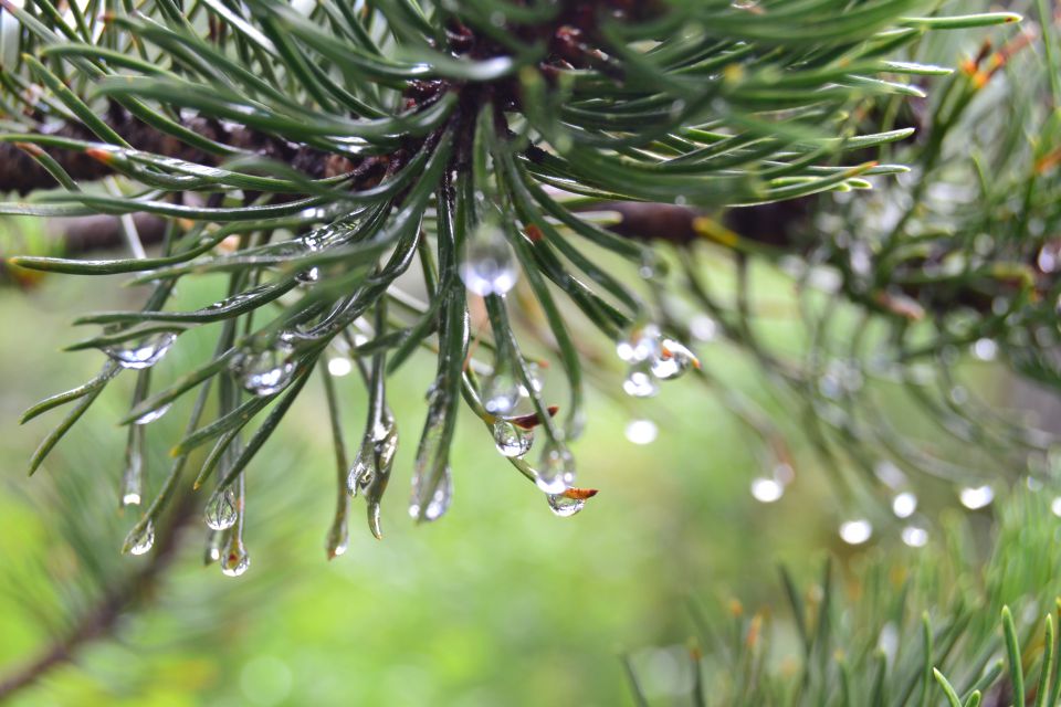 20120709 Sedmera jezera-OŠ Bogojina - foto povečava