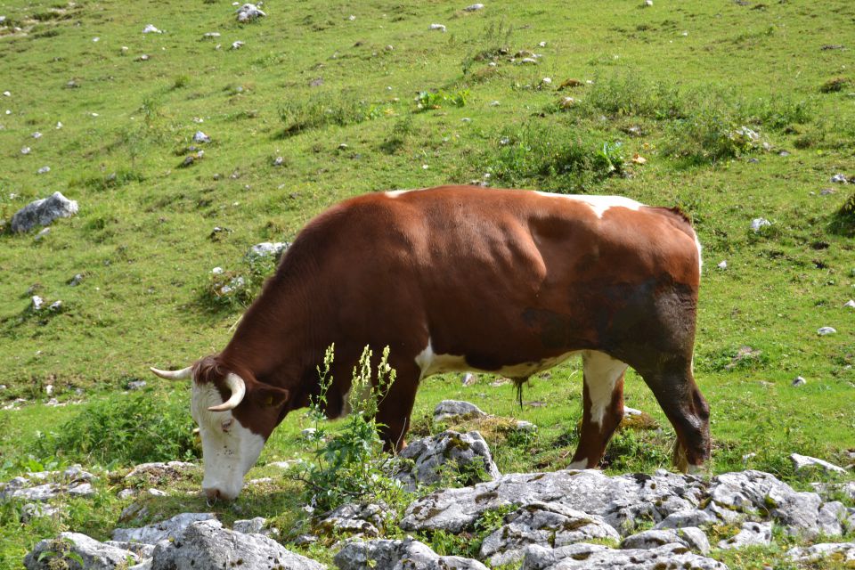 20120709 Sedmera jezera-OŠ Bogojina - foto povečava