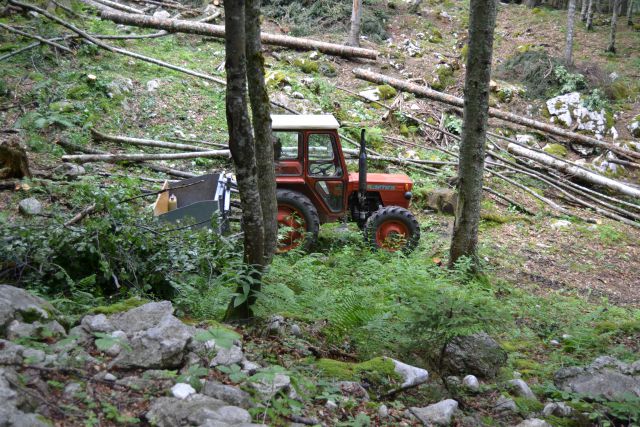 20120709 Sedmera jezera-OŠ Bogojina - foto