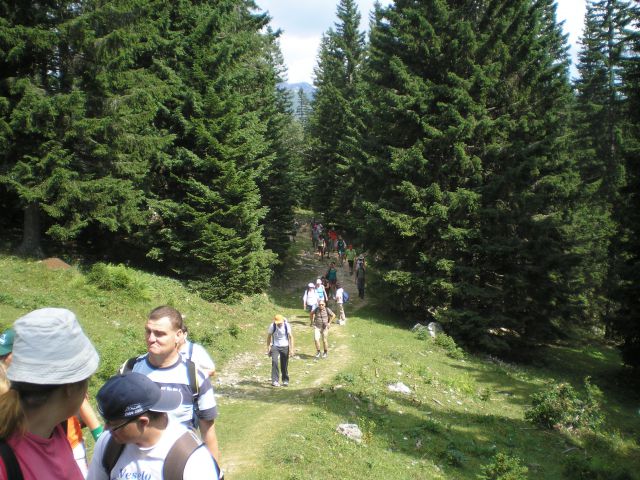 20120709 Velika planina -VDC - foto