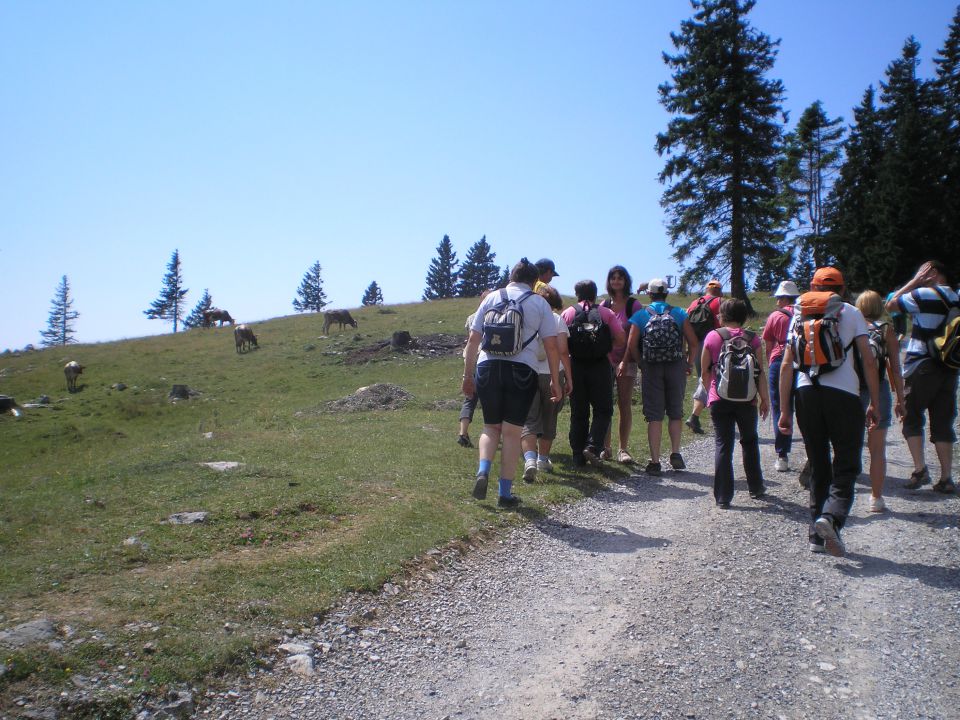 20120709 Velika planina -VDC - foto povečava