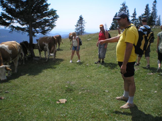 20120709 Velika planina -VDC - foto