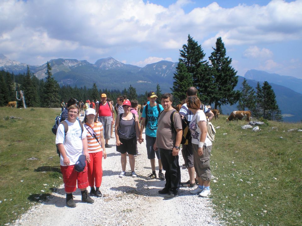 20120709 Velika planina -VDC - foto povečava