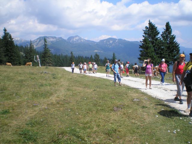 20120709 Velika planina -VDC - foto