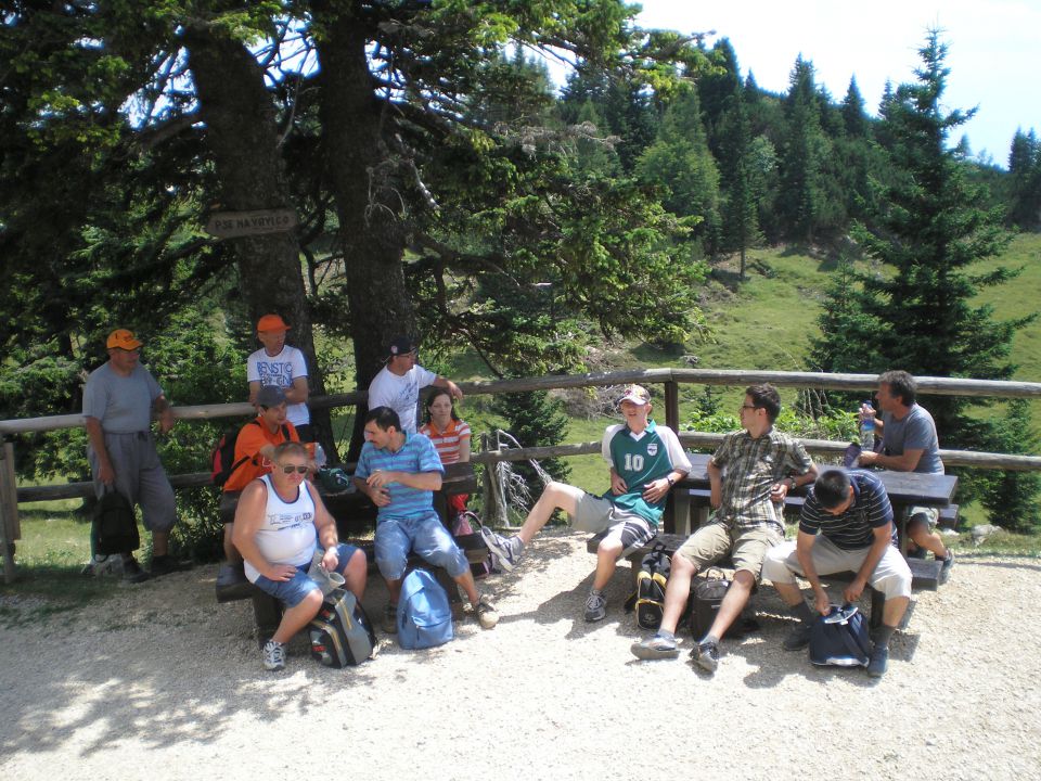 20120709 Velika planina -VDC - foto povečava