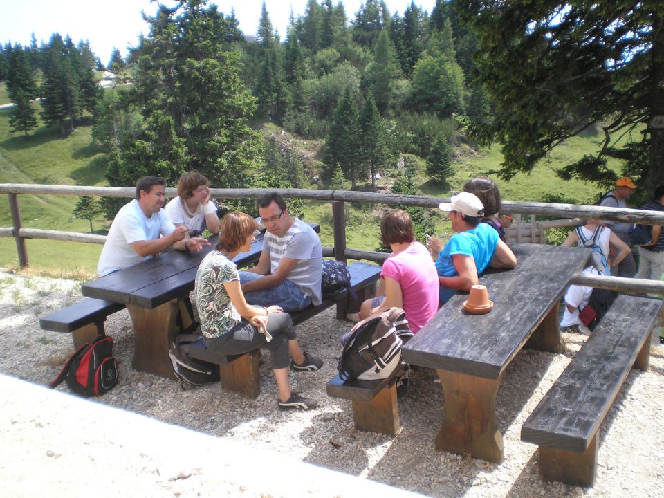 20120709 Velika planina -VDC - foto povečava