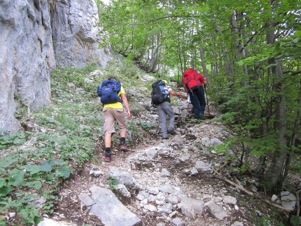 20120728 Dom plan.-Klemenča-Ojstrica-Korošica - foto povečava