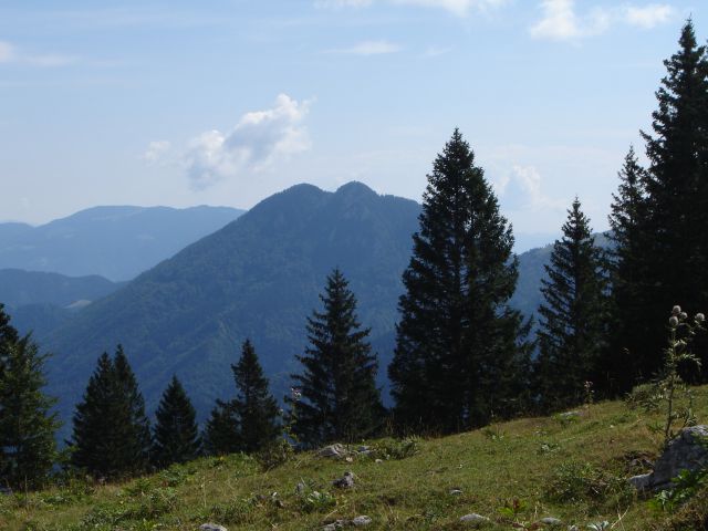 20120810 Velika planina - foto