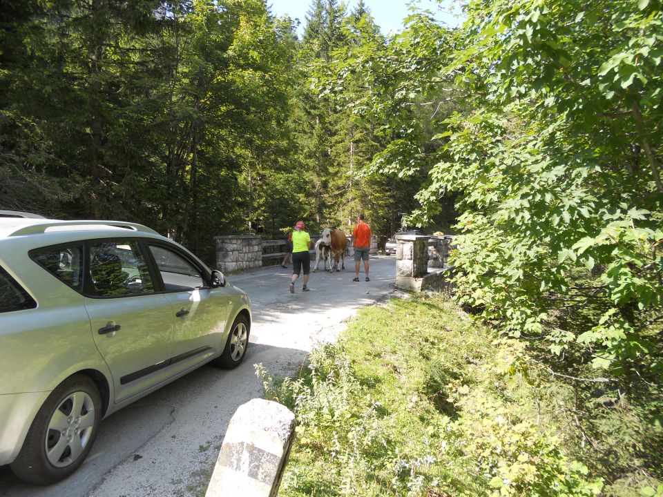 20120822 V in M Mojstrovka po Hanzovi - foto povečava