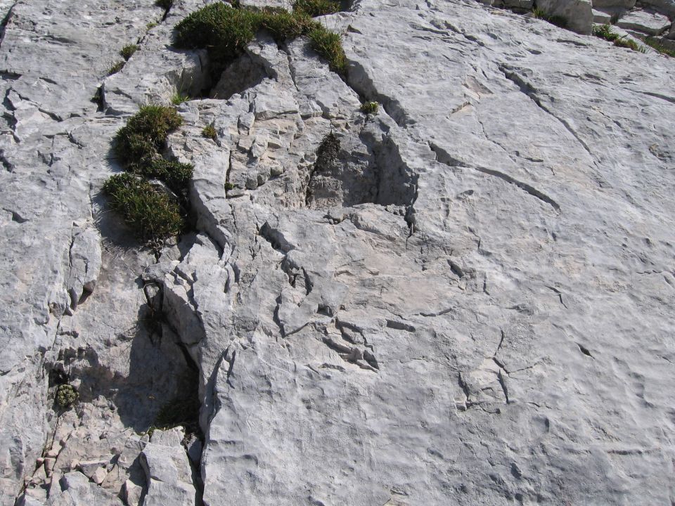 20120825 Vevnica Strug - foto povečava