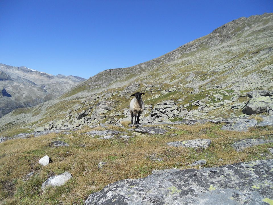 20120909 Grosse Hafner 3076m - foto povečava