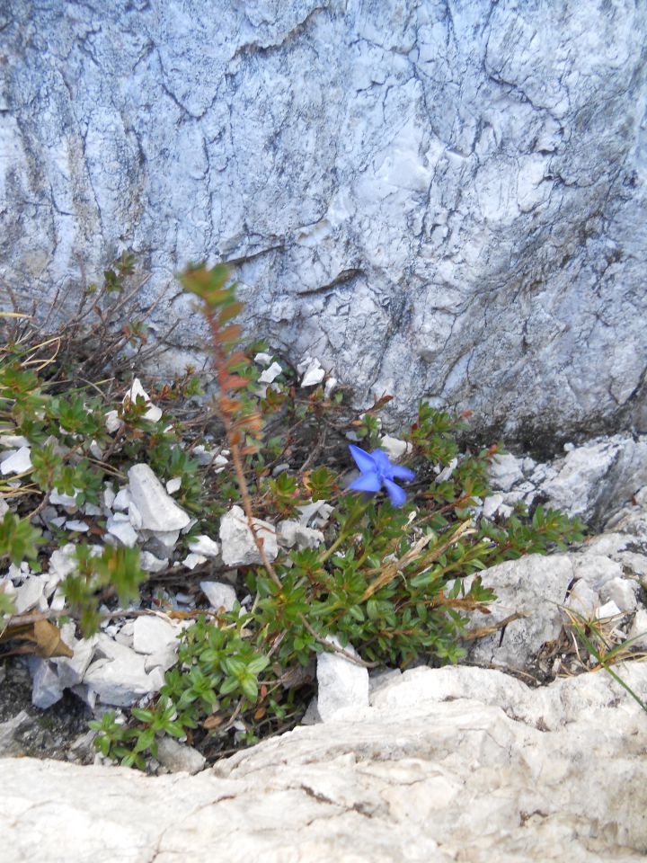 20121006 Rinke in turški žleb - foto povečava