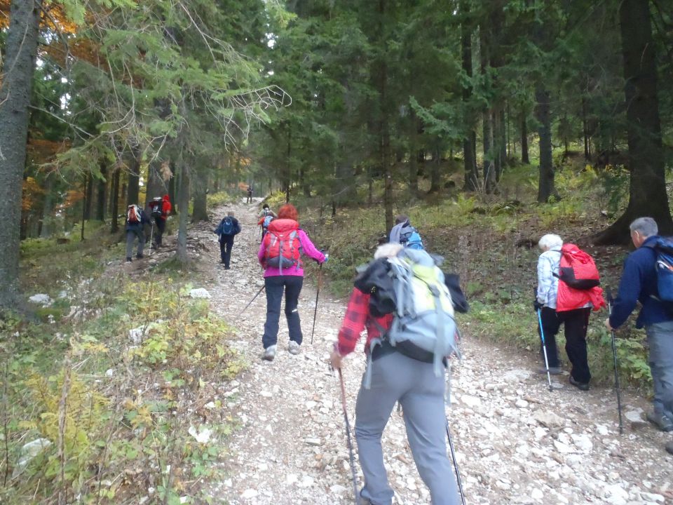 20121021 Uršlja gora - foto povečava