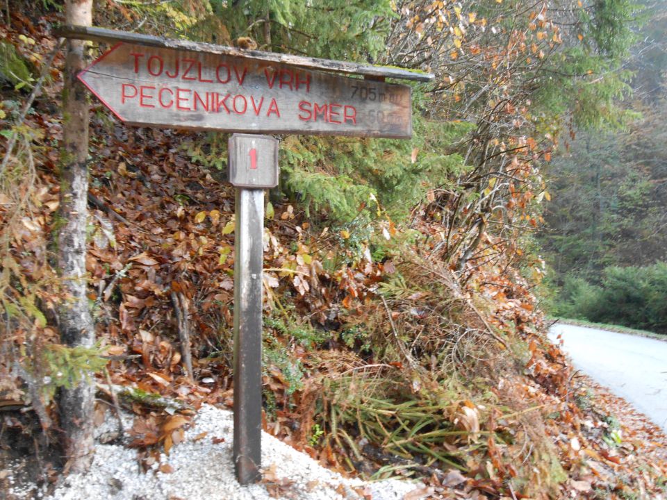 20121103 Čez Tojzlov vrh na Žavcarjev vrh - foto povečava