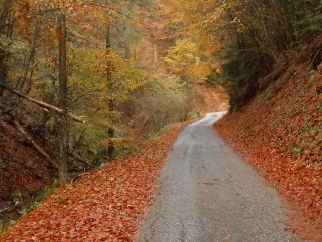 20121103 Čez Tojzlov vrh na Žavcarjev vrh - foto