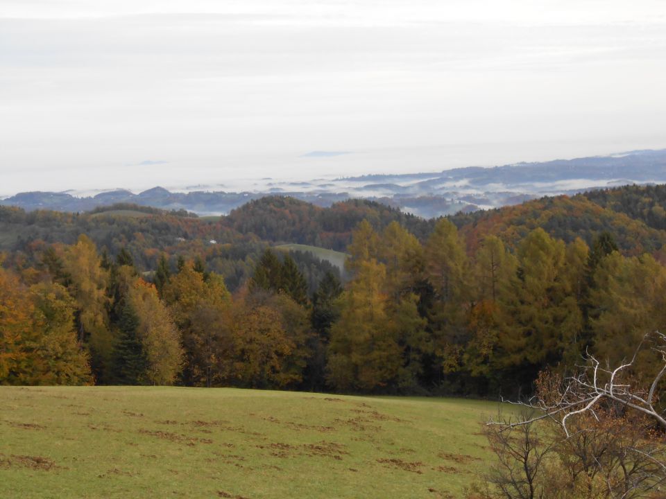 20121103 Čez Tojzlov vrh na Žavcarjev vrh - foto povečava