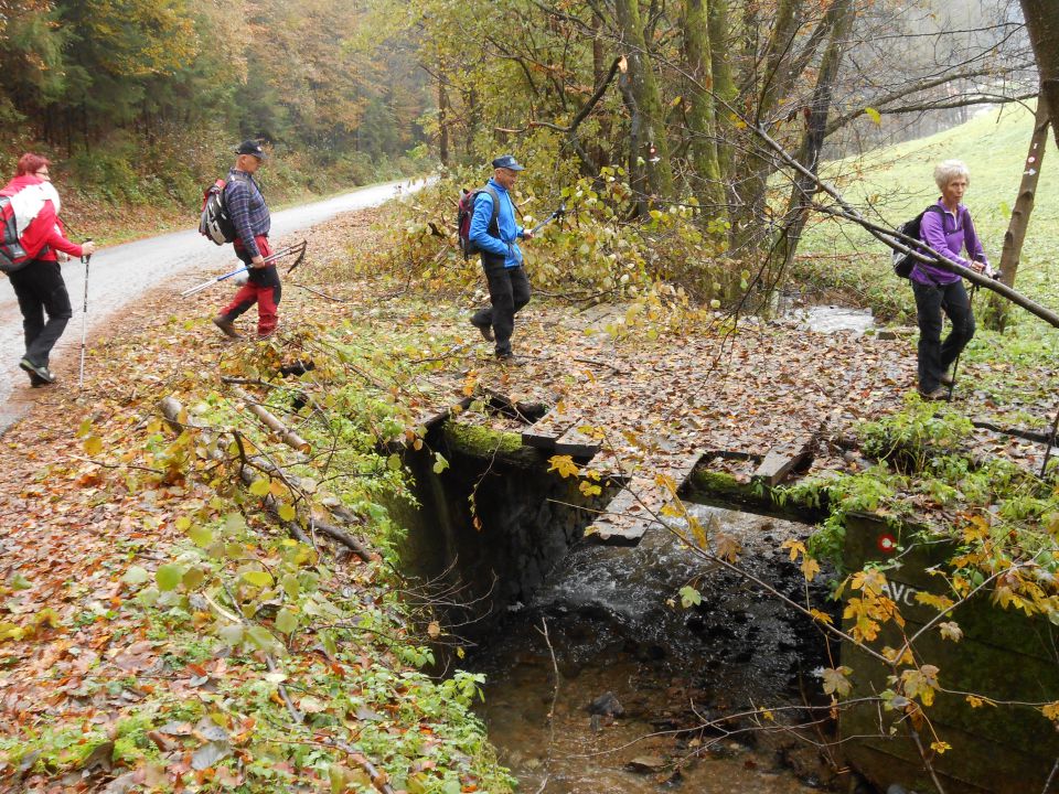 20121103 Čez Tojzlov vrh na Žavcarjev vrh - foto povečava