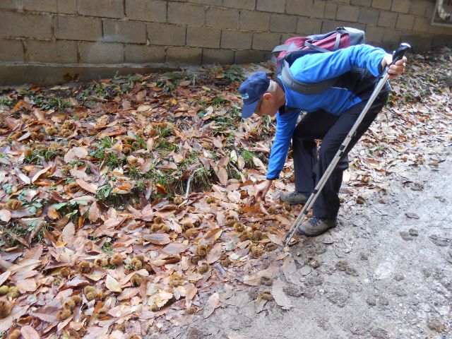 20121103 Čez Tojzlov vrh na Žavcarjev vrh - foto