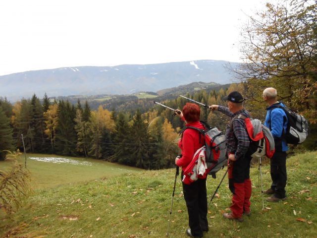 20121103 Čez Tojzlov vrh na Žavcarjev vrh - foto