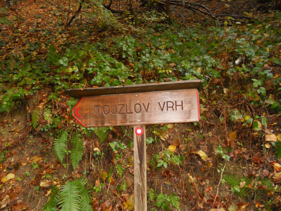 20121103 Čez Tojzlov vrh na Žavcarjev vrh - foto povečava