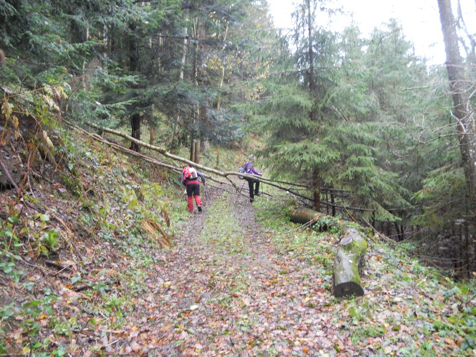 20121103 Čez Tojzlov vrh na Žavcarjev vrh - foto povečava