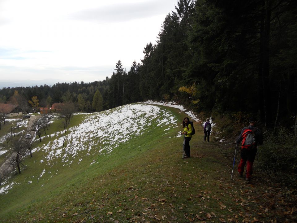 20121103 Čez Tojzlov vrh na Žavcarjev vrh - foto povečava