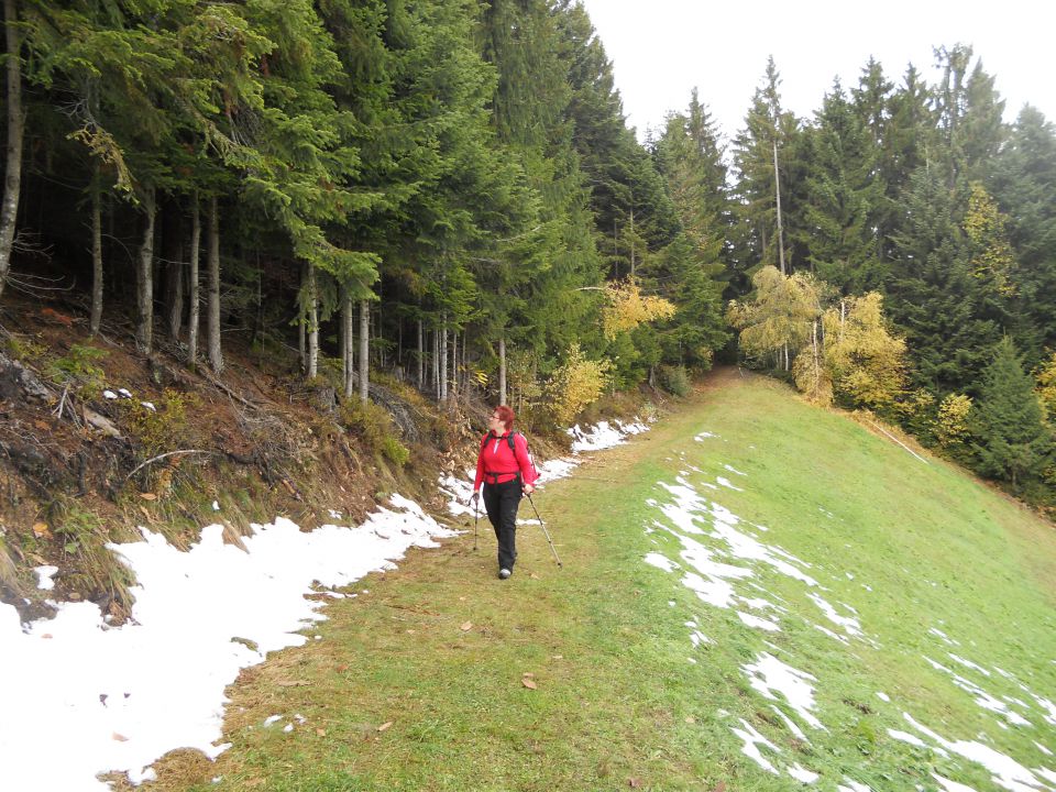 20121103 Čez Tojzlov vrh na Žavcarjev vrh - foto povečava