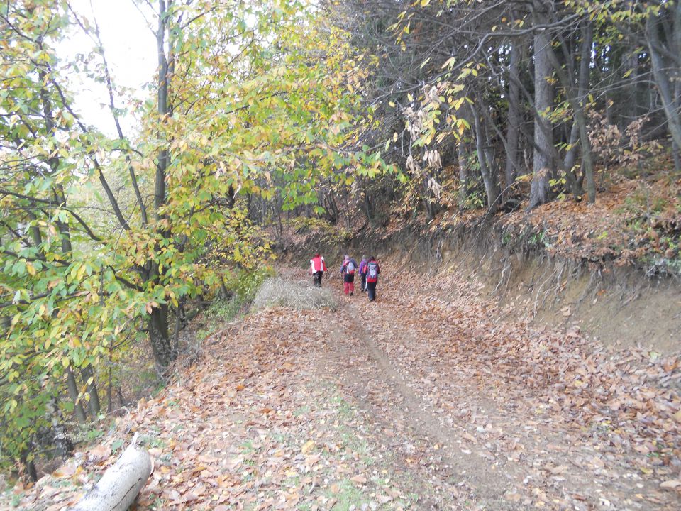 20121103 Čez Tojzlov vrh na Žavcarjev vrh - foto povečava