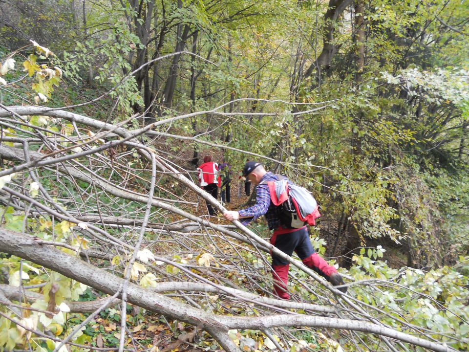 20121103 Čez Tojzlov vrh na Žavcarjev vrh - foto povečava