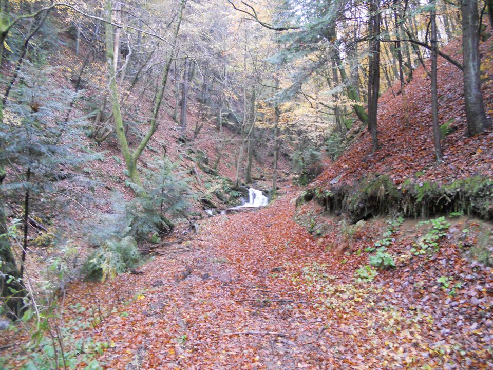 20121103 Čez Tojzlov vrh na Žavcarjev vrh - foto povečava