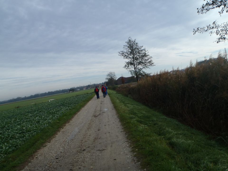 20121103 Martinov pohod Kapela Bratonci - foto povečava