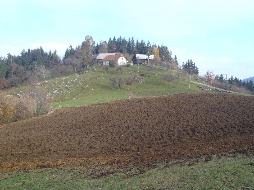 20121117 Potepanje po Čreti in Okrešlju - foto povečava