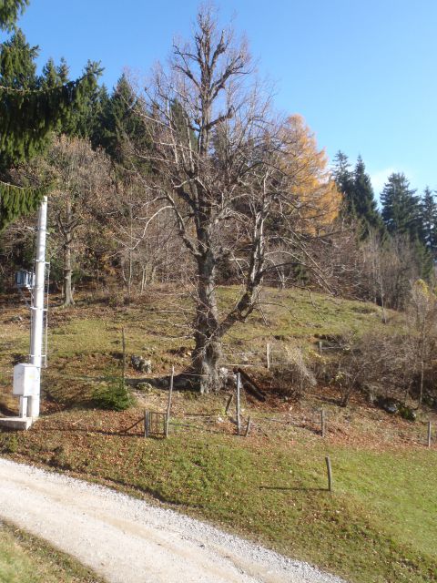 20121117 Potepanje po Čreti in Okrešlju - foto