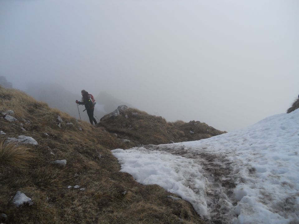 20121118 Vrtača  - foto povečava