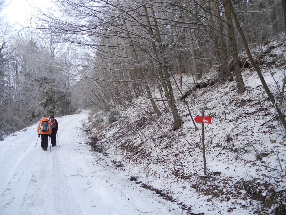 20121223 Kal - Mrzlica - Šmohor - foto povečava