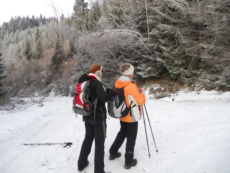 20121223 Kal - Mrzlica - Šmohor - foto povečava