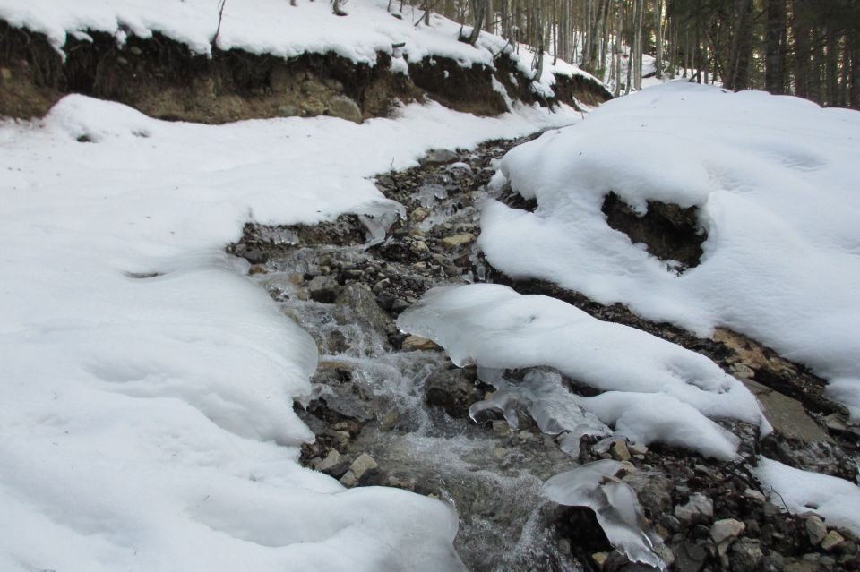 20121223 Trupejevo poldne - foto povečava