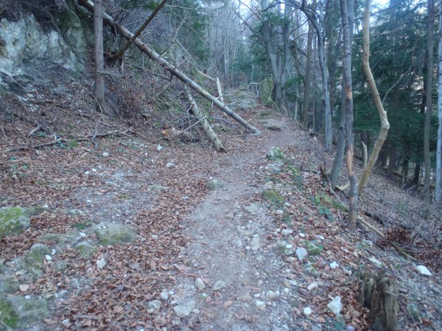 20130101 Konjiška gora - Stolpnik - foto