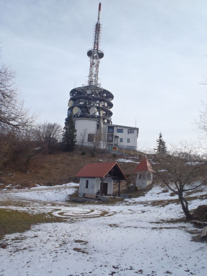 20130105 Kum - foto povečava