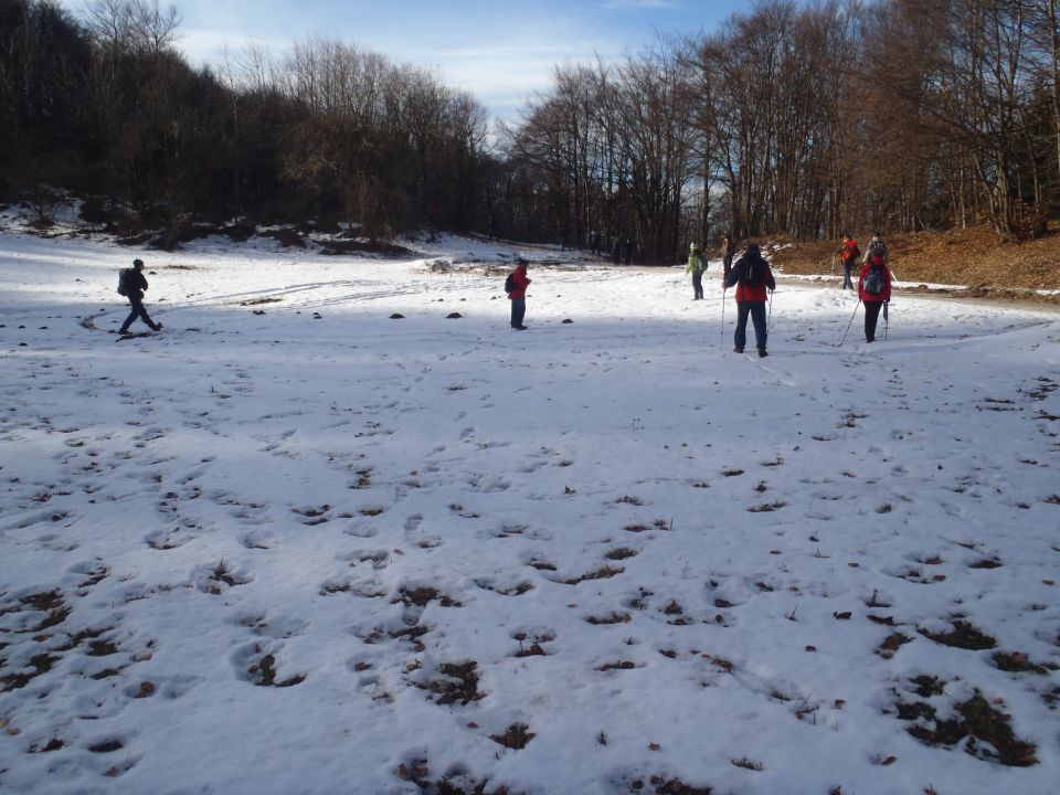 20130105 Kum - foto povečava