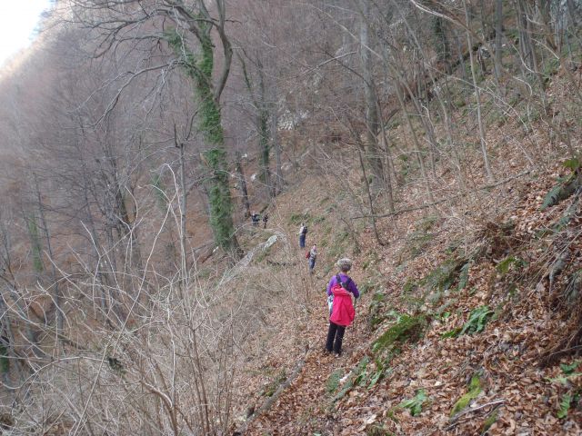 20130105 Kum - foto