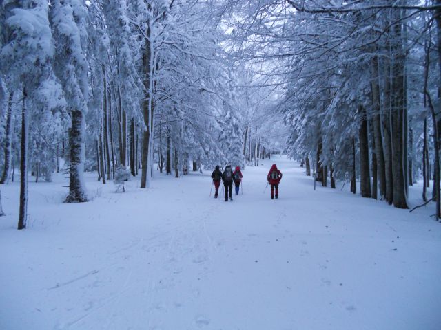 20130203 Areh-Bajgot zimska pravljica - foto