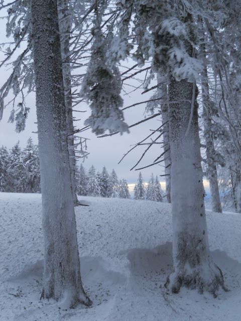 20130203 Areh-Bajgot zimska pravljica - foto