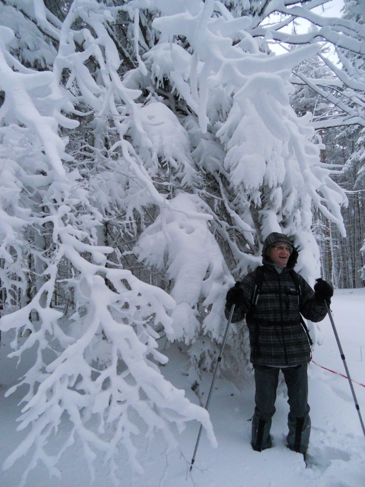 20130203 Areh-Bajgot zimska pravljica - foto povečava