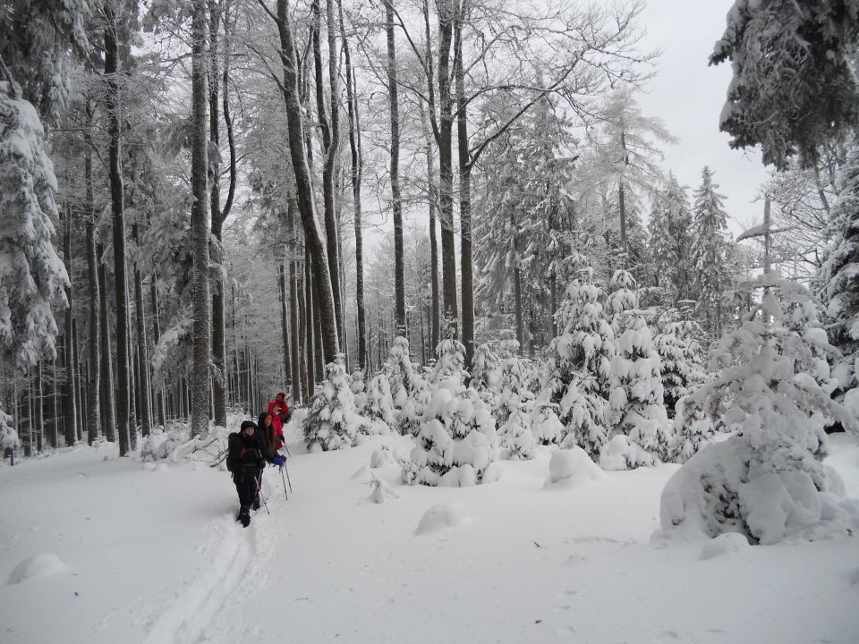 20130203 Areh-Bajgot zimska pravljica - foto povečava