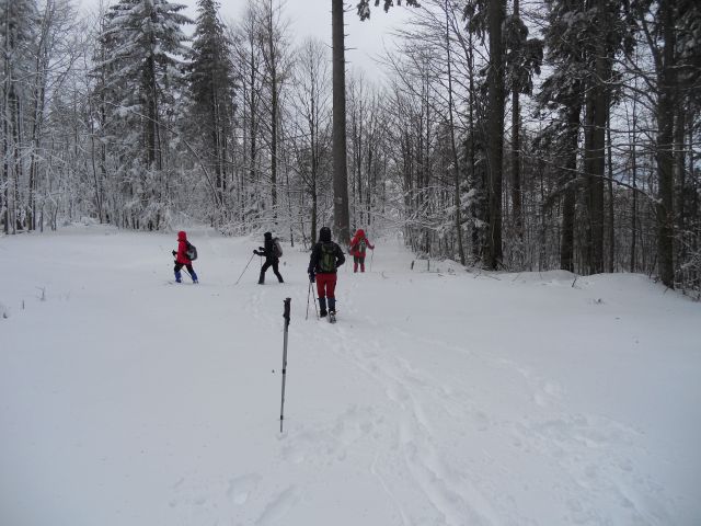 20130203 Areh-Bajgot zimska pravljica - foto