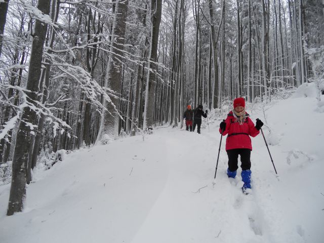 20130203 Areh-Bajgot zimska pravljica - foto